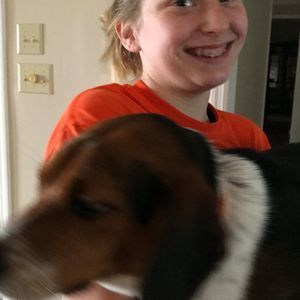 Meet your Posher, Crystal